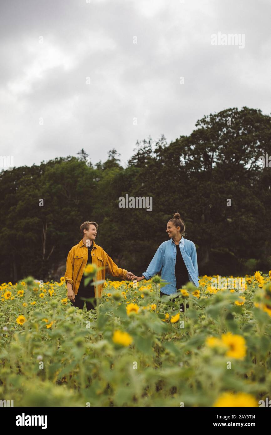 Couple sur champ de tournesol fleuri Banque D'Images
