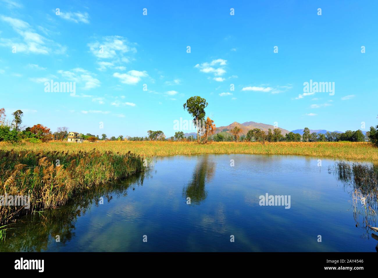 paysage de lac Banque D'Images