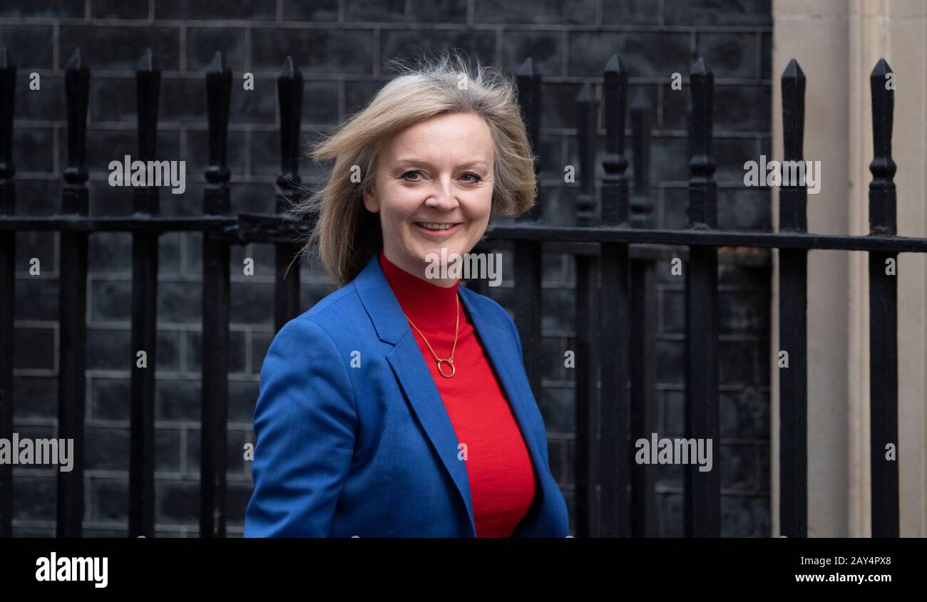 Downing Street, Londres, Royaume-Uni. 14 février 2020. Elizabeth Truss, députée, secrétaire d'État au Commerce international, à Downing Street, pour une réunion hebdomadaire du Cabinet. Crédit: Malcolm Park/Alay. Banque D'Images