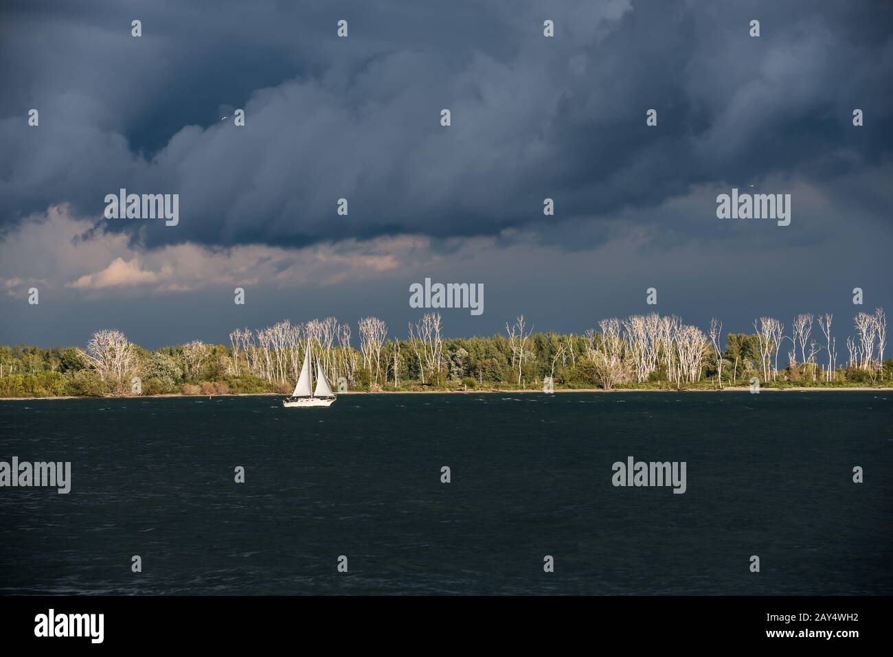 Bateau à voile blanc entre l'eau sombre et les nuages déprimants Banque D'Images