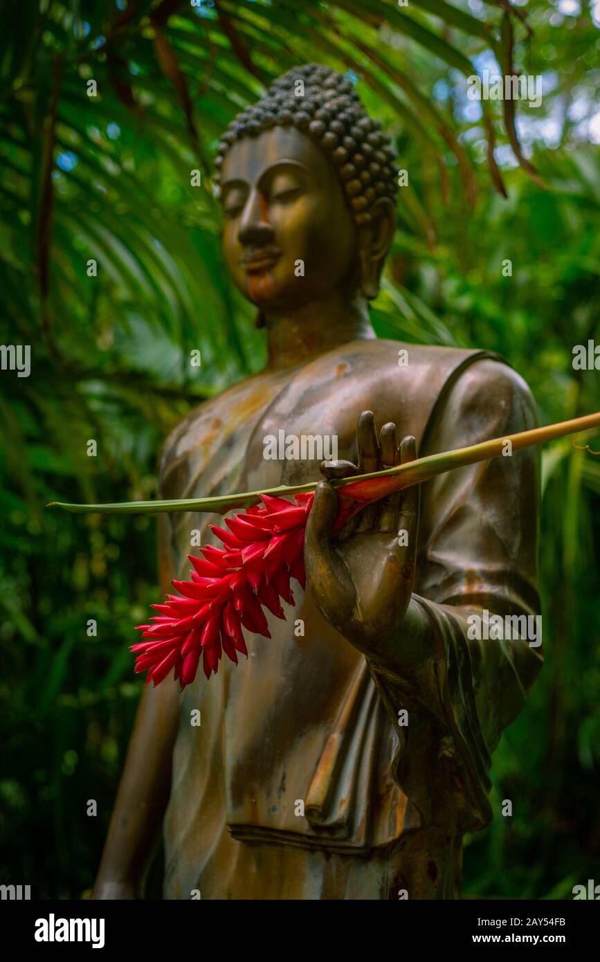 Bouddha de bronze Tient une fleur tropicale à une retraite dans les tropiques Banque D'Images