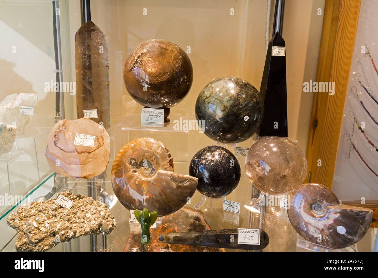 Un assortiment de fossiles décoratifs et de cristaux de toutes tailles à vendre dans une boutique de fossiles Lyme Regis, Dorset, Angleterre, Royaume-Uni Banque D'Images