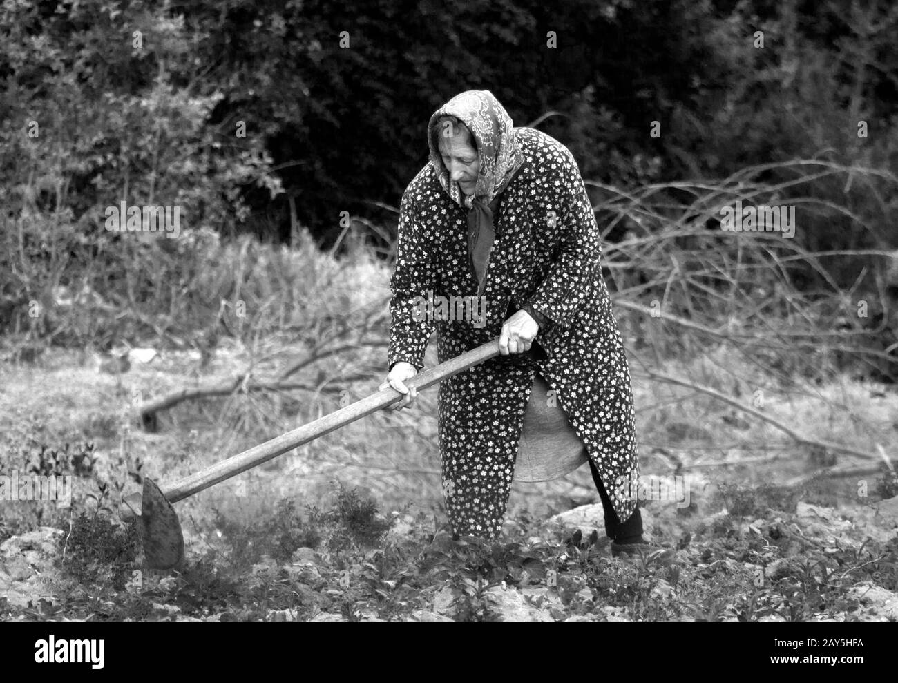 Le village de Krapets sur la mer Noire en Bulgarie Banque D'Images