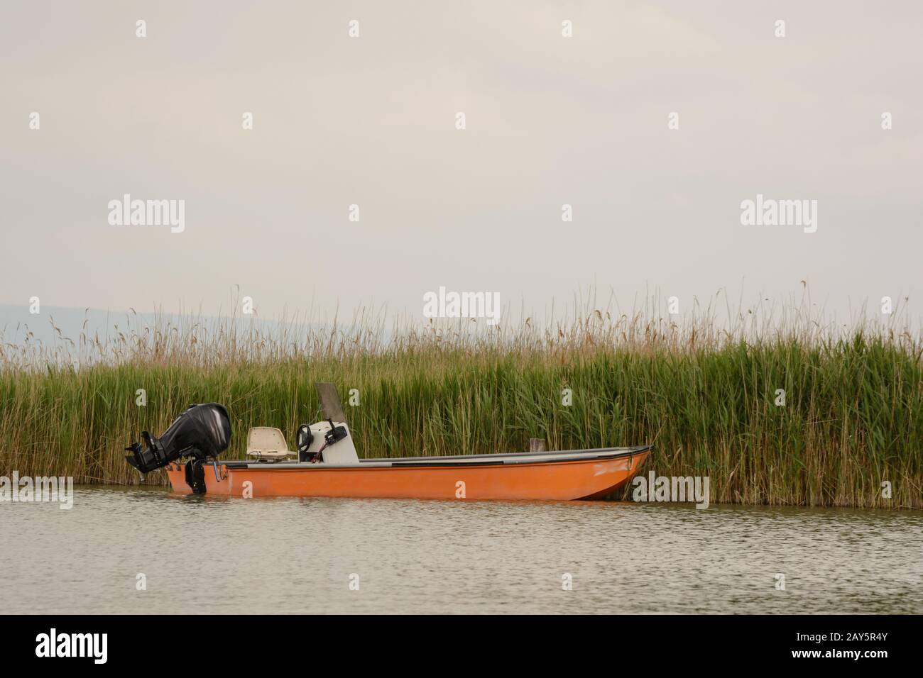 Un petit bateau à moteur a amarré à la ceinture à roseau du lac Neusiedl - Autriche Banque D'Images