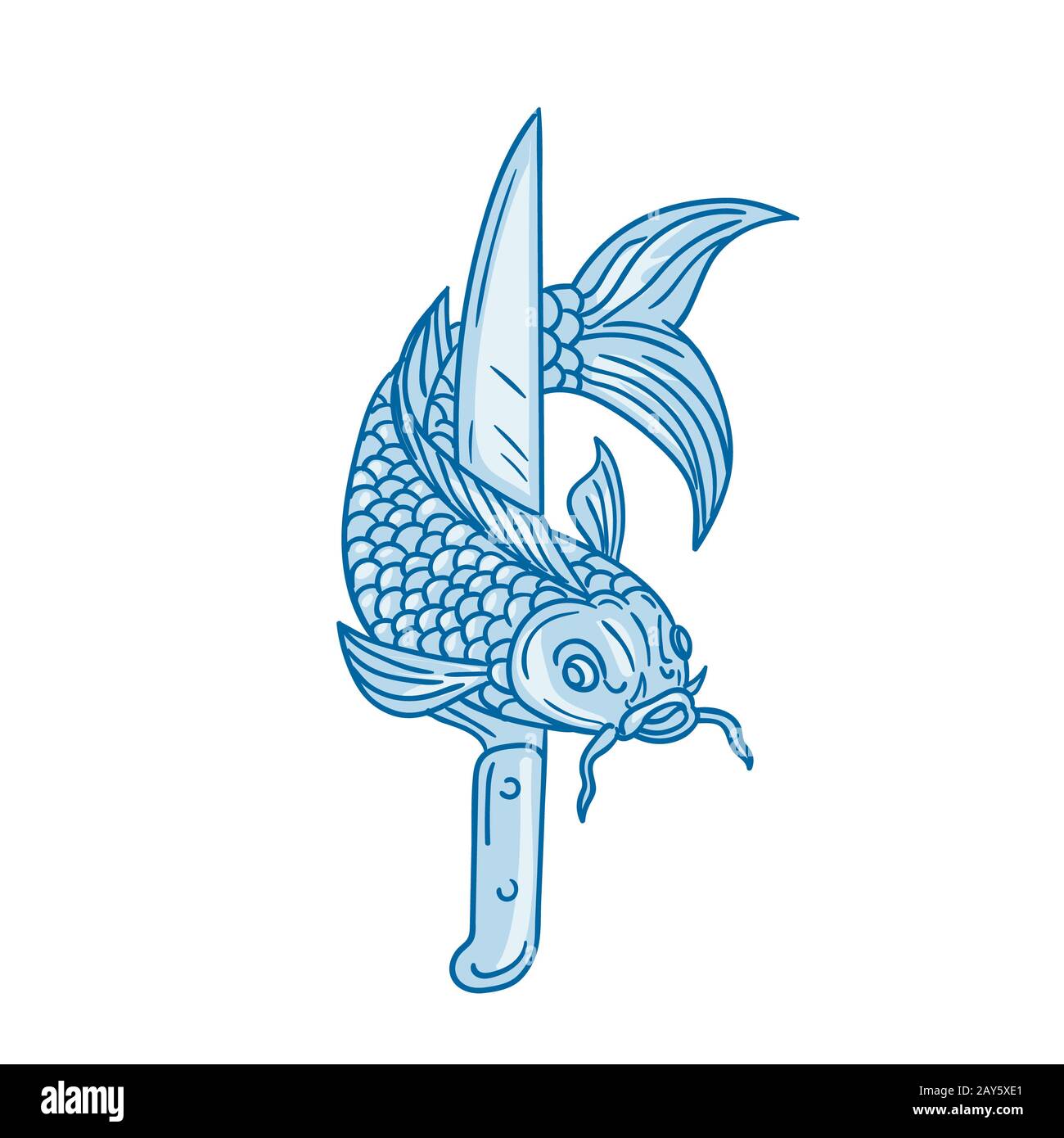 Couteau à poisson carpe Koi Nishikigoi Dimensions Banque D'Images