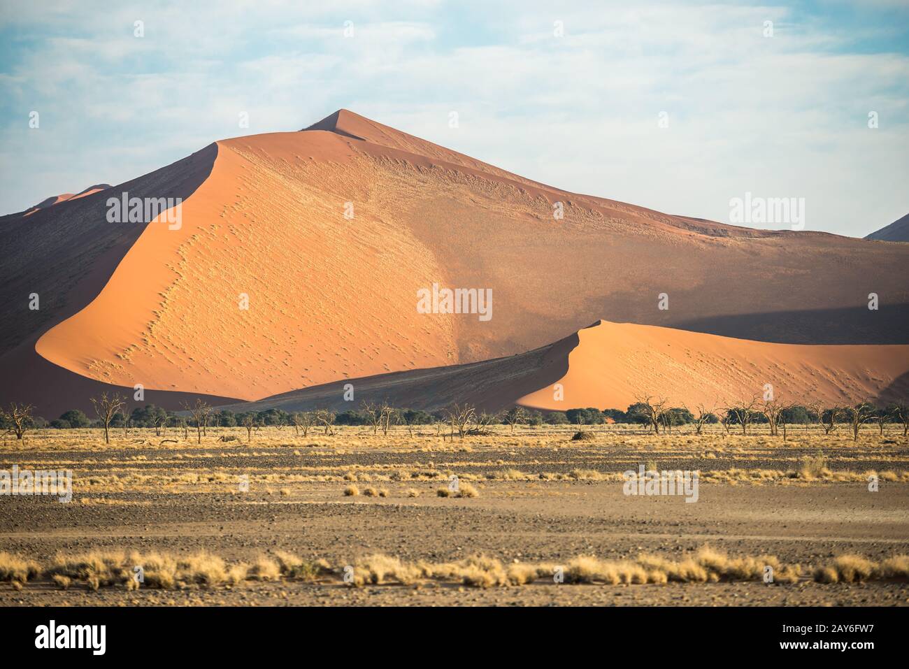 Une immense dune de sable, couverte par une végétation namibienne rare et sèche Banque D'Images