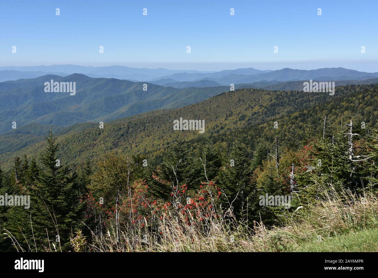 Vue depuis le dôme de Clingmans au parc national des Great Smoky Mountains, dans le Tennessee Banque D'Images