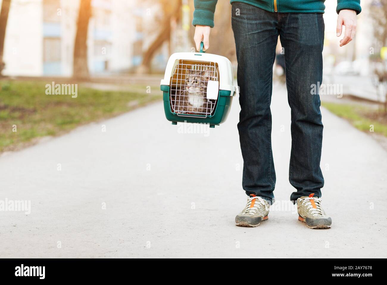 Homme avec chat domestique dans un transporteur d'animal de compagnie voyageant dans la rue Banque D'Images