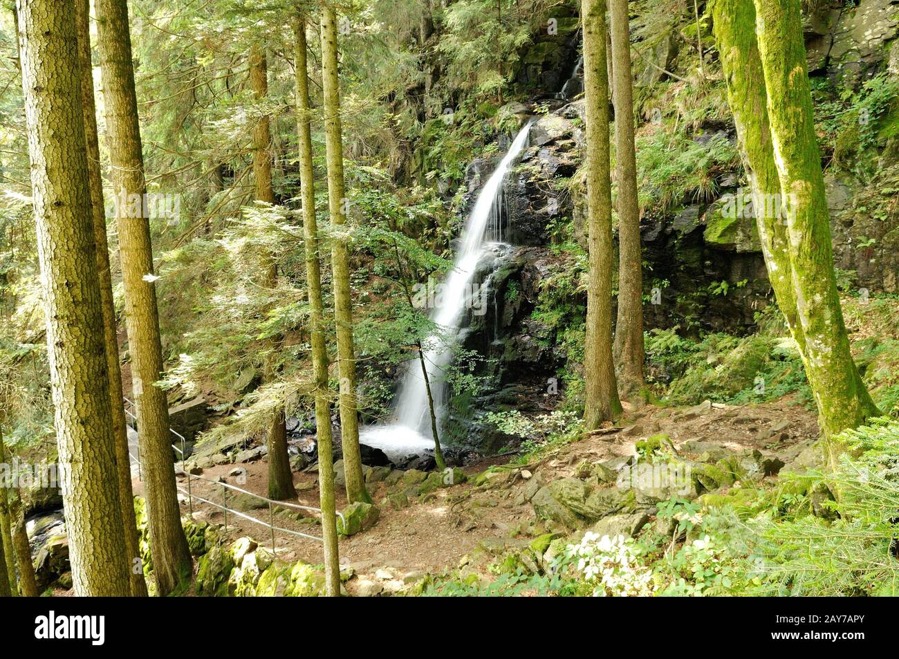 Dans la partie supérieure de la cascade de Zweribach, dans la forêt noire de Simonswald, en Allemagne Banque D'Images