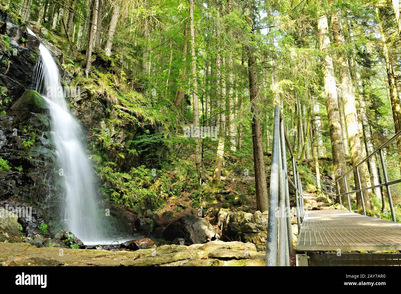 À la cascade de Zweribach dans la forêt noire de Simonswald, en Allemagne, Upper Falls Banque D'Images