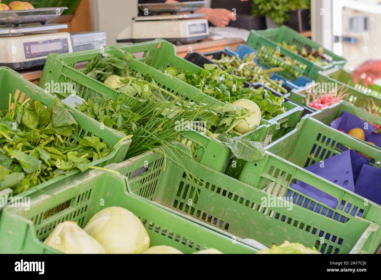 Stand de vente d'un marché hebdomadaire avec des légumes biologiques régionaux - gros plan Banque D'Images