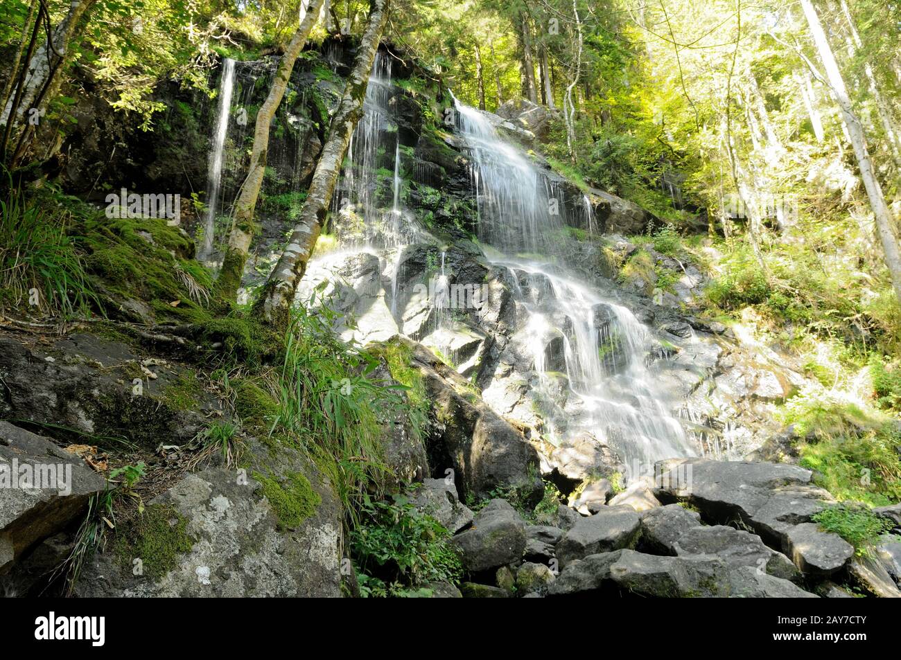 Zweribach Waterfal-la partie inférieure de la cascade Simonswald Black Forest Allemagne Banque D'Images