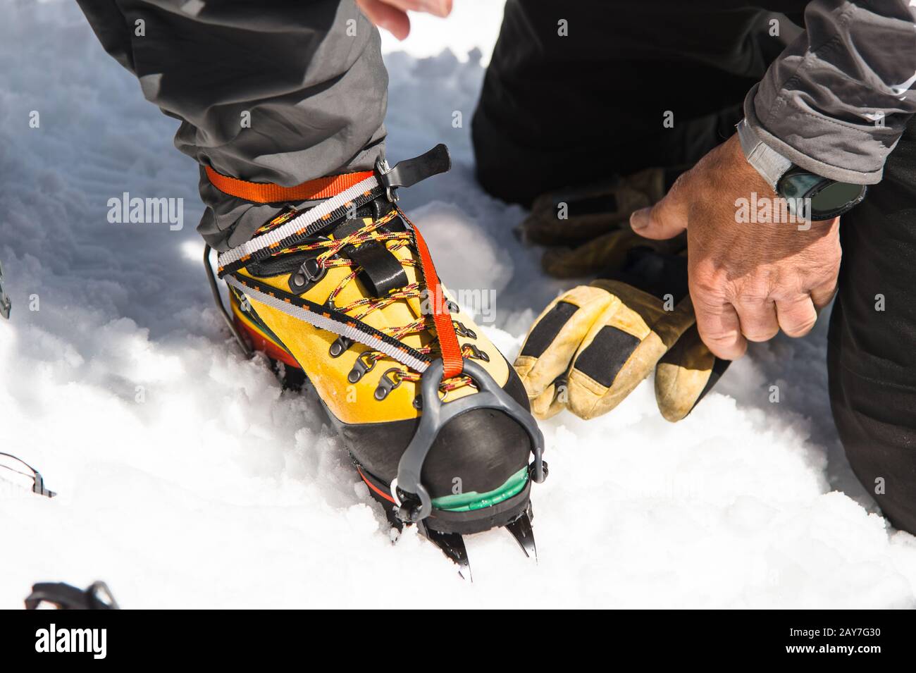 Un jeune randonneur de type habille des Crampons d'escalade sur des  chaussures d'alpinisme Pour se promener à travers le glacier Photo Stock -  Alamy