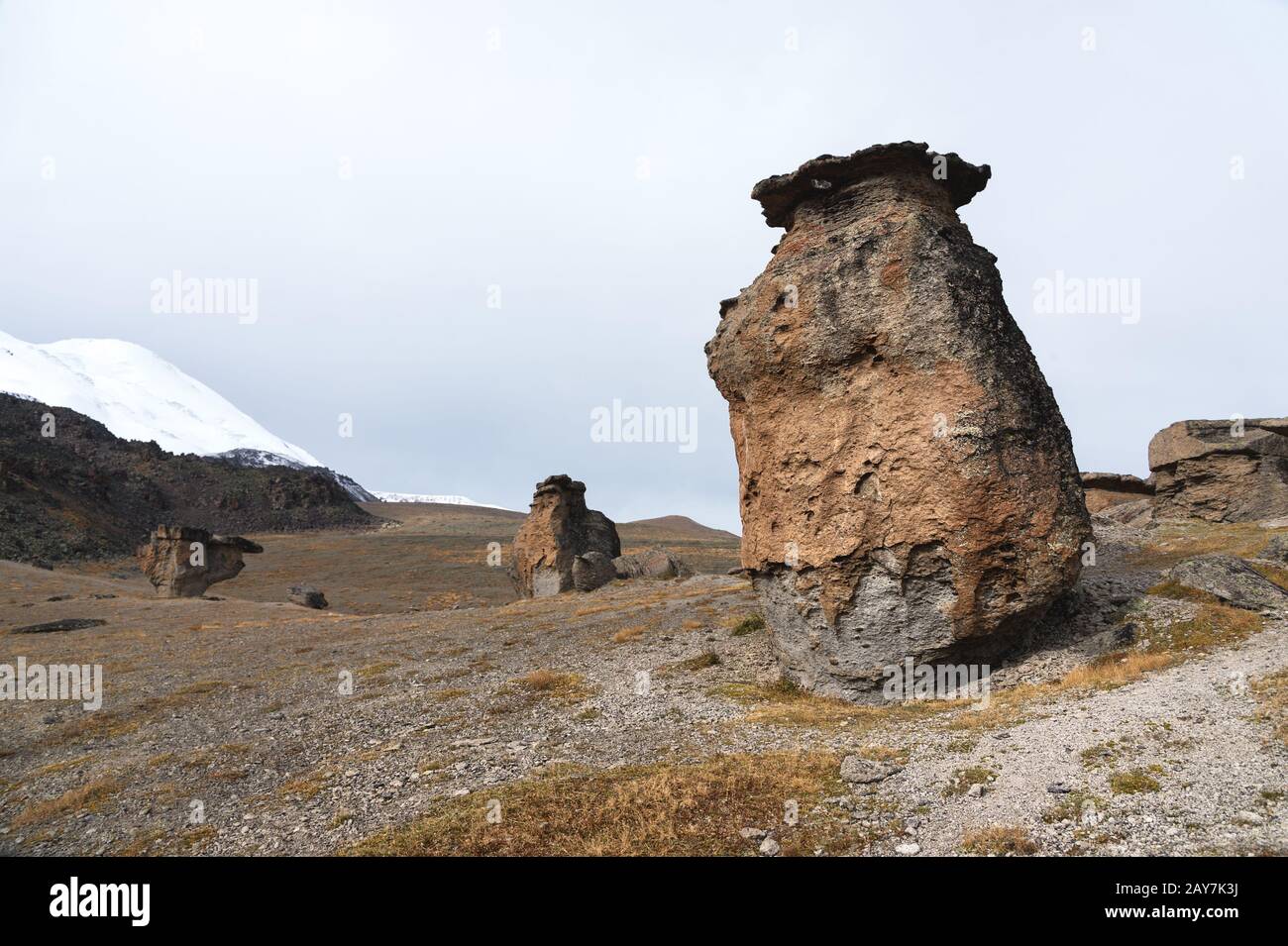 Champignons en pierre sur le mont Elbrus dans le nord du Caucase. Banque D'Images