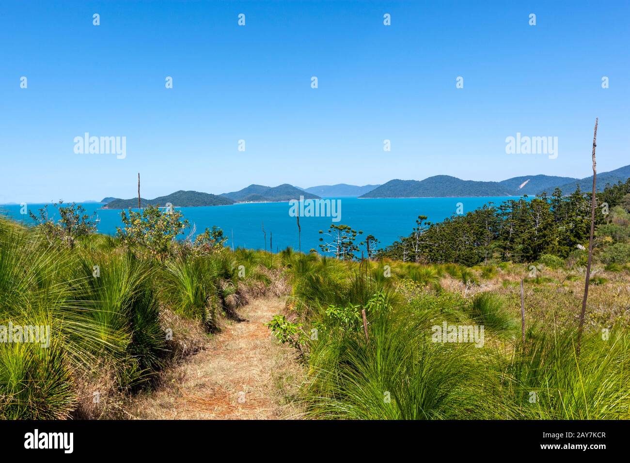 Super promenade Ngaro Trail dans South Molle Island, Queensland, Australie Banque D'Images