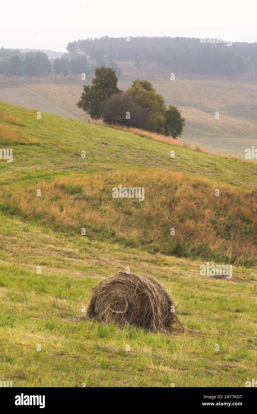 Paysage d'été des champs obliques du Caucase avec des balles cylindriques de foin Banque D'Images