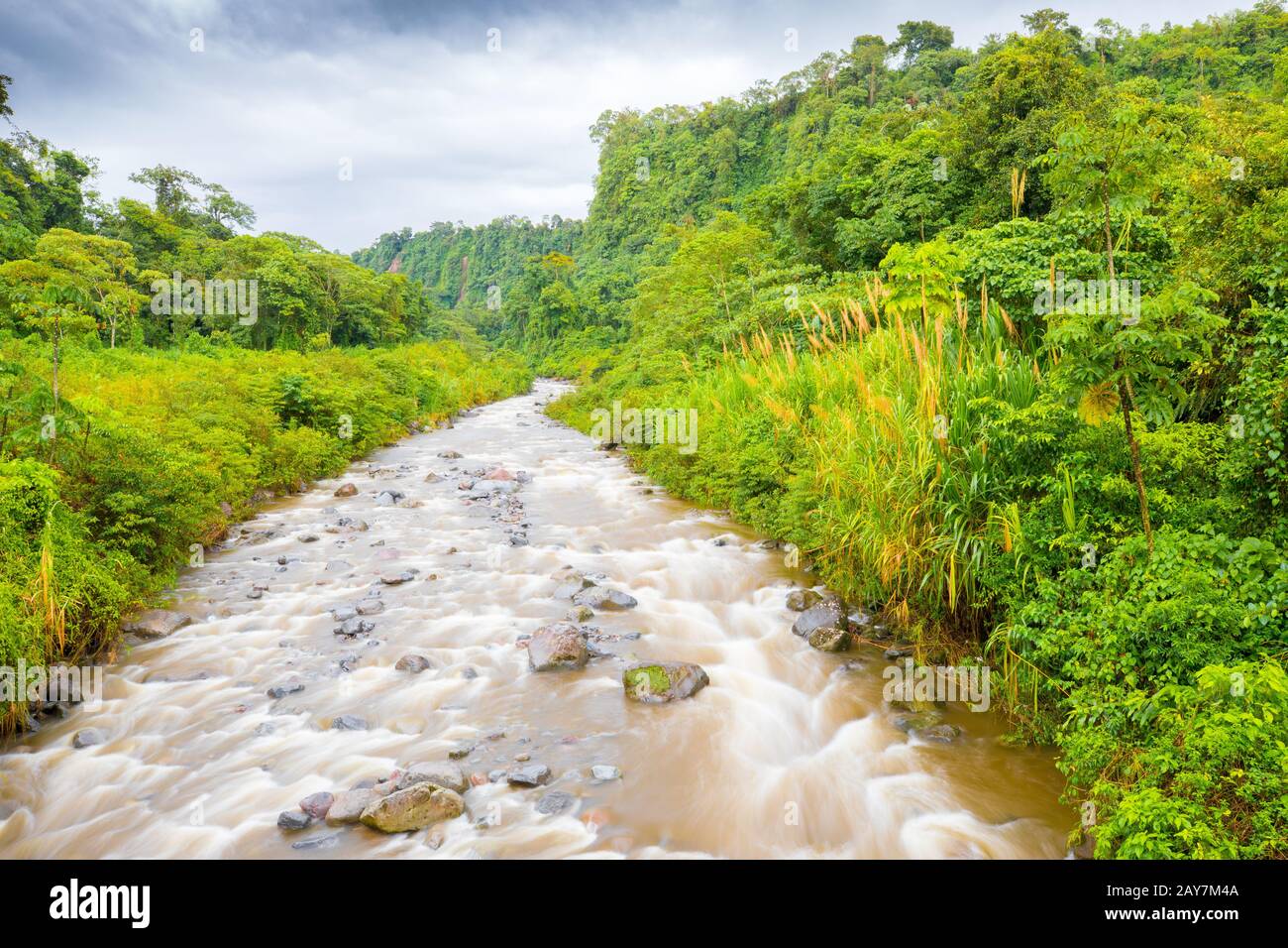 Rivière dans la jungle sur la piste de volcan baru chiriqui panama Banque D'Images