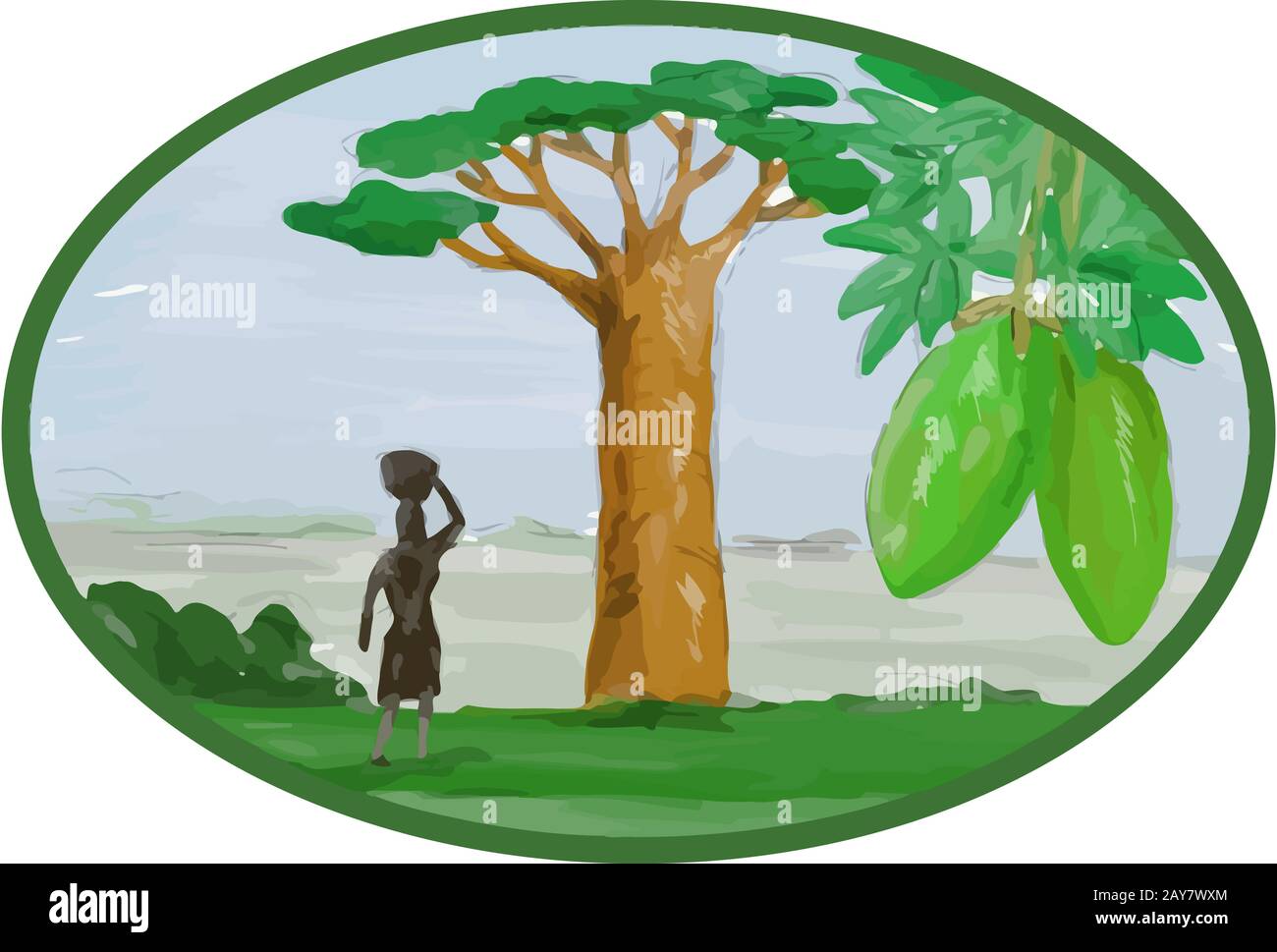 Baobab et fruits aquarelle Banque D'Images