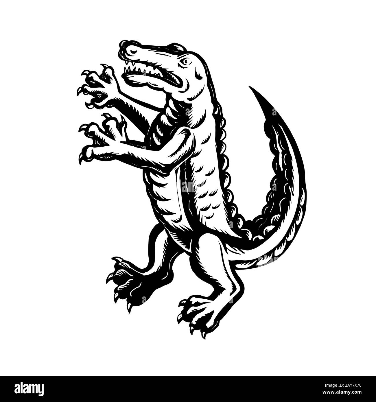 Scraperboard Permanent Alligator Banque D'Images