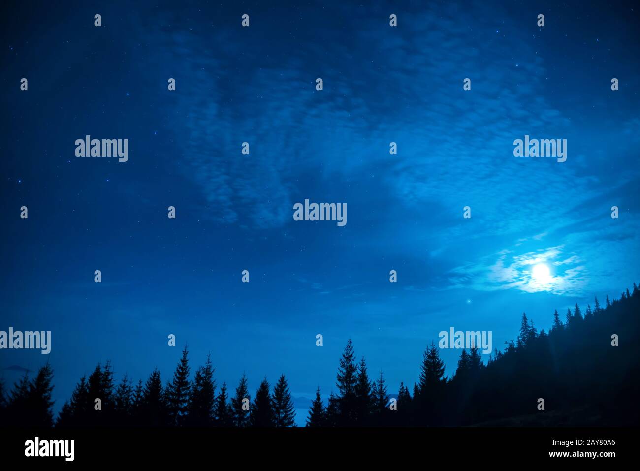 Forêt de pins sous la lune et bleu ciel de nuit Banque D'Images