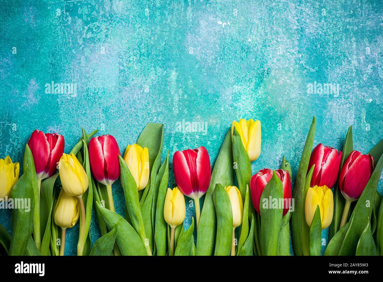 Carte de fête des mères ou de fête des femmes avec tulipes Banque D'Images