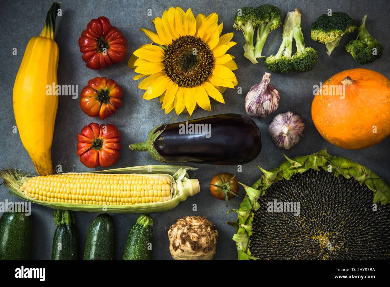 Légumes d'automne fraîchement récoltés Banque D'Images