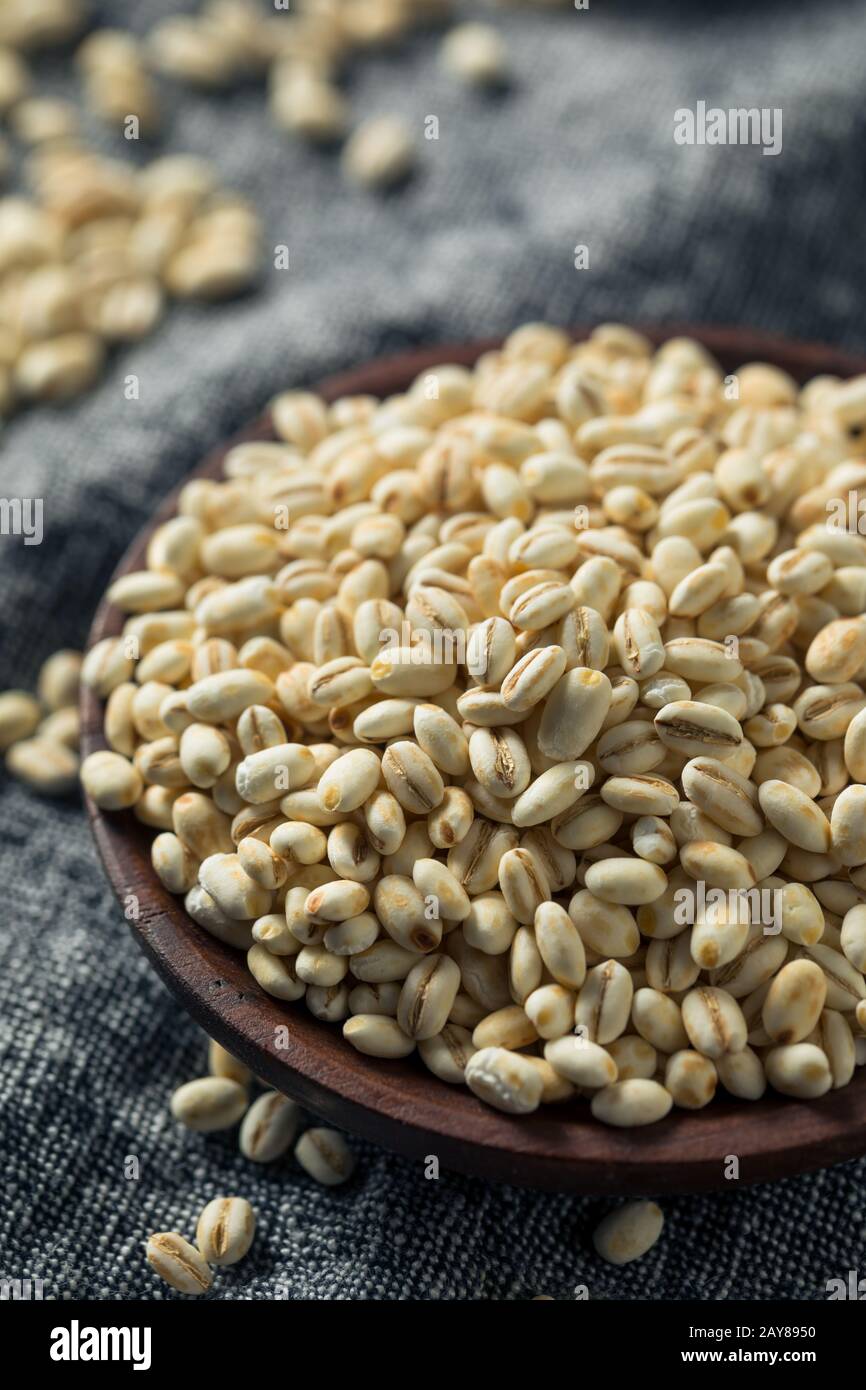 Vierge Bio Italien Pearl Barley Dans Un Bol Banque D'Images
