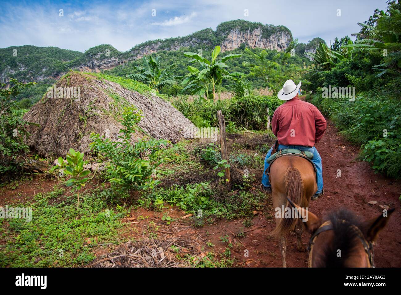 Vallée de Vinales, Cuba - 24 septembre 2015 : Local coutryside cubain man ride horsback dans paysage pittoresque dans la vallée de Vinales, Cuba. Banque D'Images