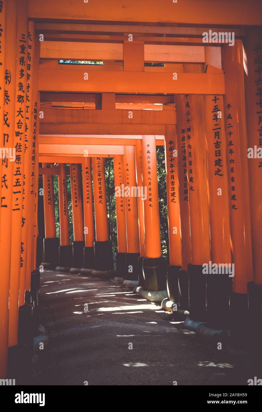 Fushimi Inari Taisha torii, Kyoto, Japon Banque D'Images