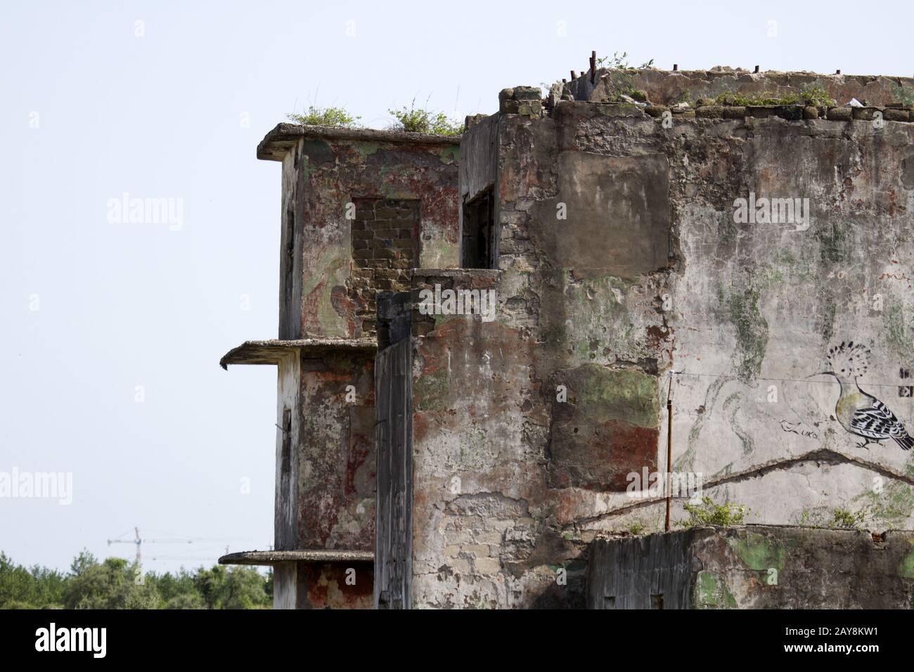 Batumi, delta de Chorokhi, réserve naturelle, Géorgie Banque D'Images