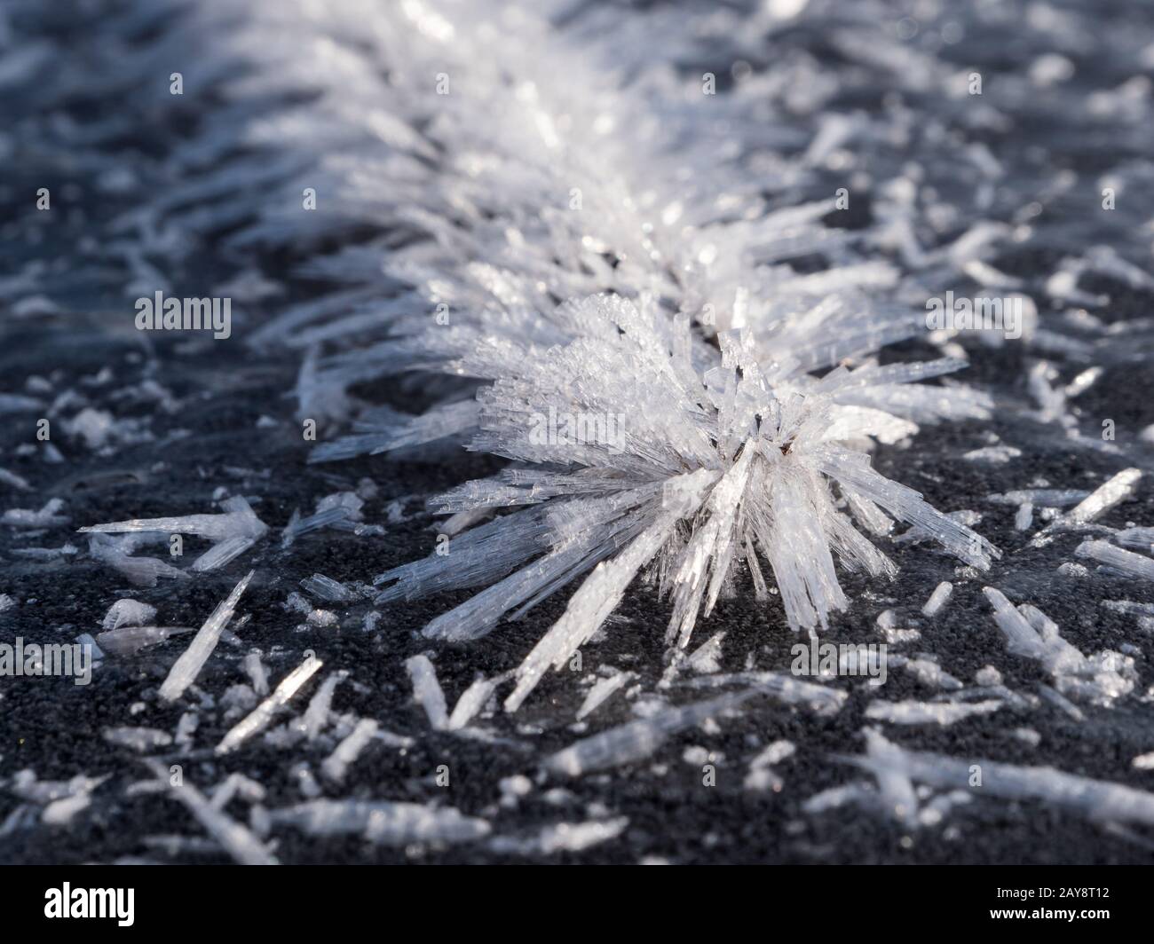Cristaux de glace formés sur la brindille gelée Banque D'Images