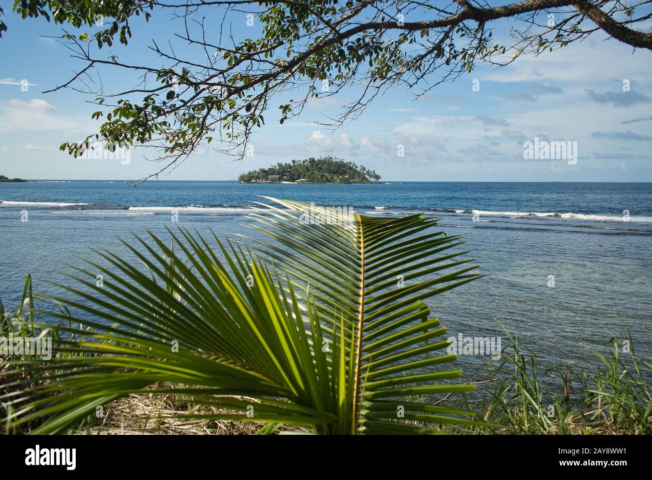 Photographié par des palmiers sur une petite île de la mer des Caraïbes - appels de Wanderlust Banque D'Images