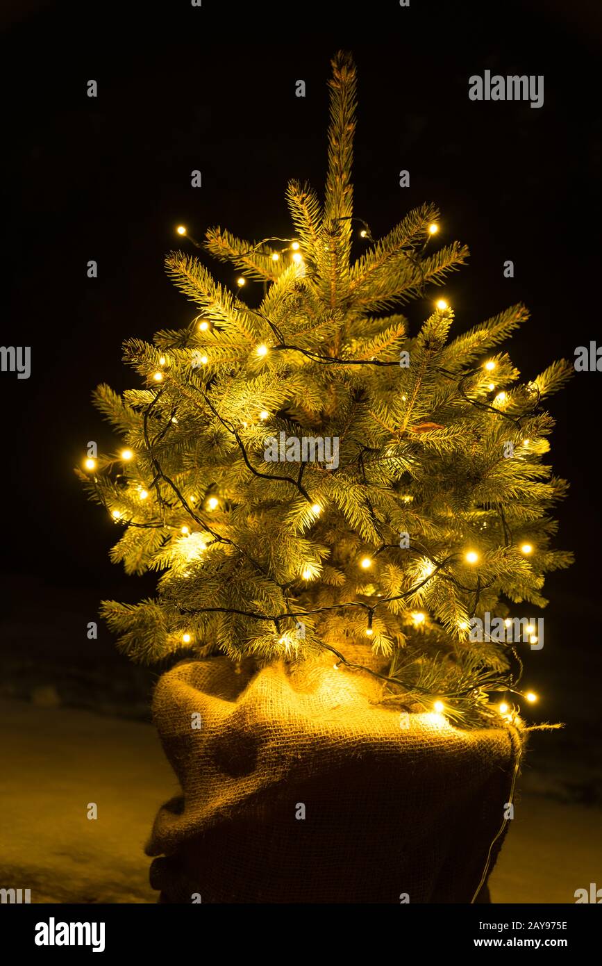 Sapin de Noël illuminé avec des lumières LED à cordes comme décoration extérieure - gros plan Banque D'Images