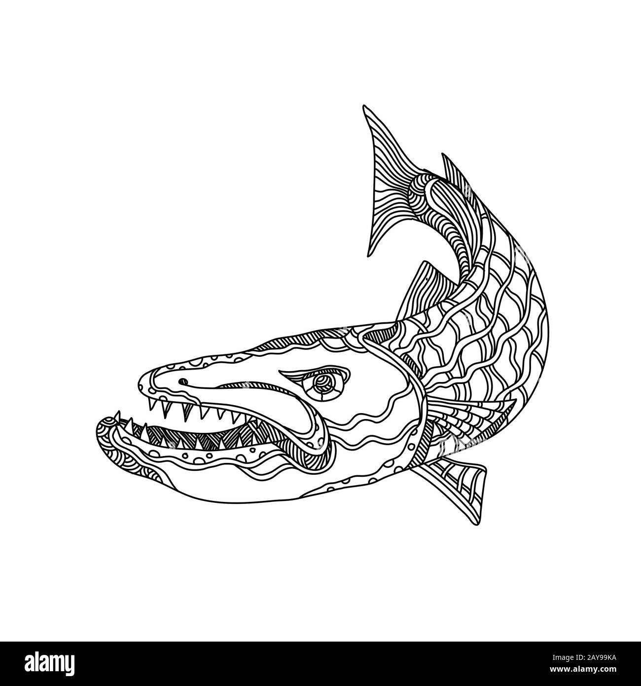 Poissons Barracuda Doodle Art Banque D'Images