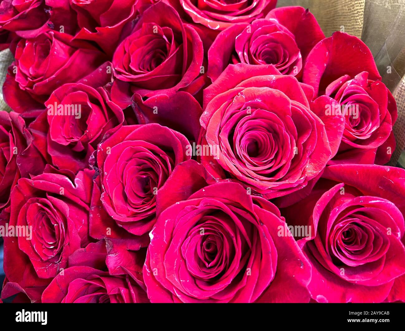 Plusieurs bouquets de différentes fleurs à une épicerie dans l'eau attendant qu'un client les achète. Concept amour, romance, anniversaire, valentin Banque D'Images