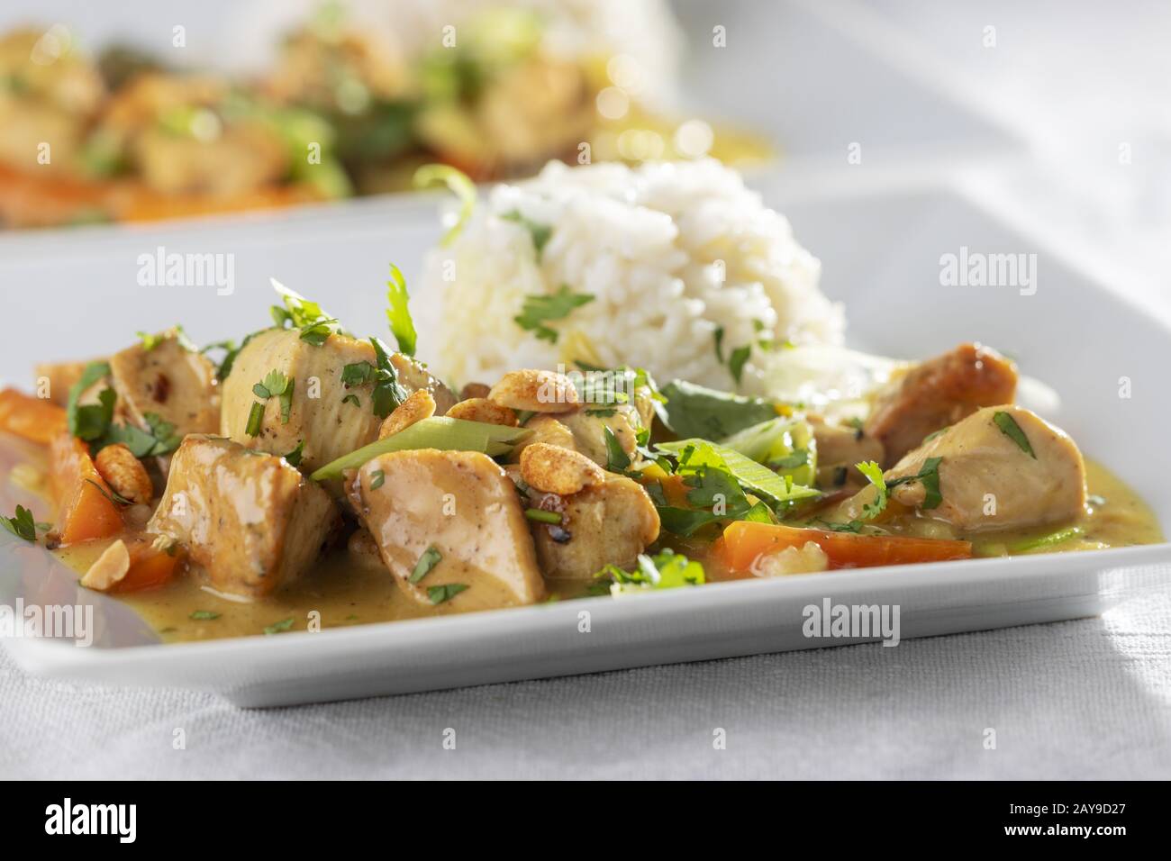 Gros plan sur un curry thaïlandais avec du riz Banque D'Images