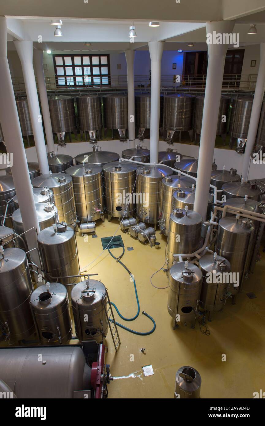 Vue sur les cuves à vin en acier inoxydable pour la fermentation et le vieillissement dans la cave à vin à plusieurs niveaux de la région viticole historique de Vergelegen à Somerset We Banque D'Images