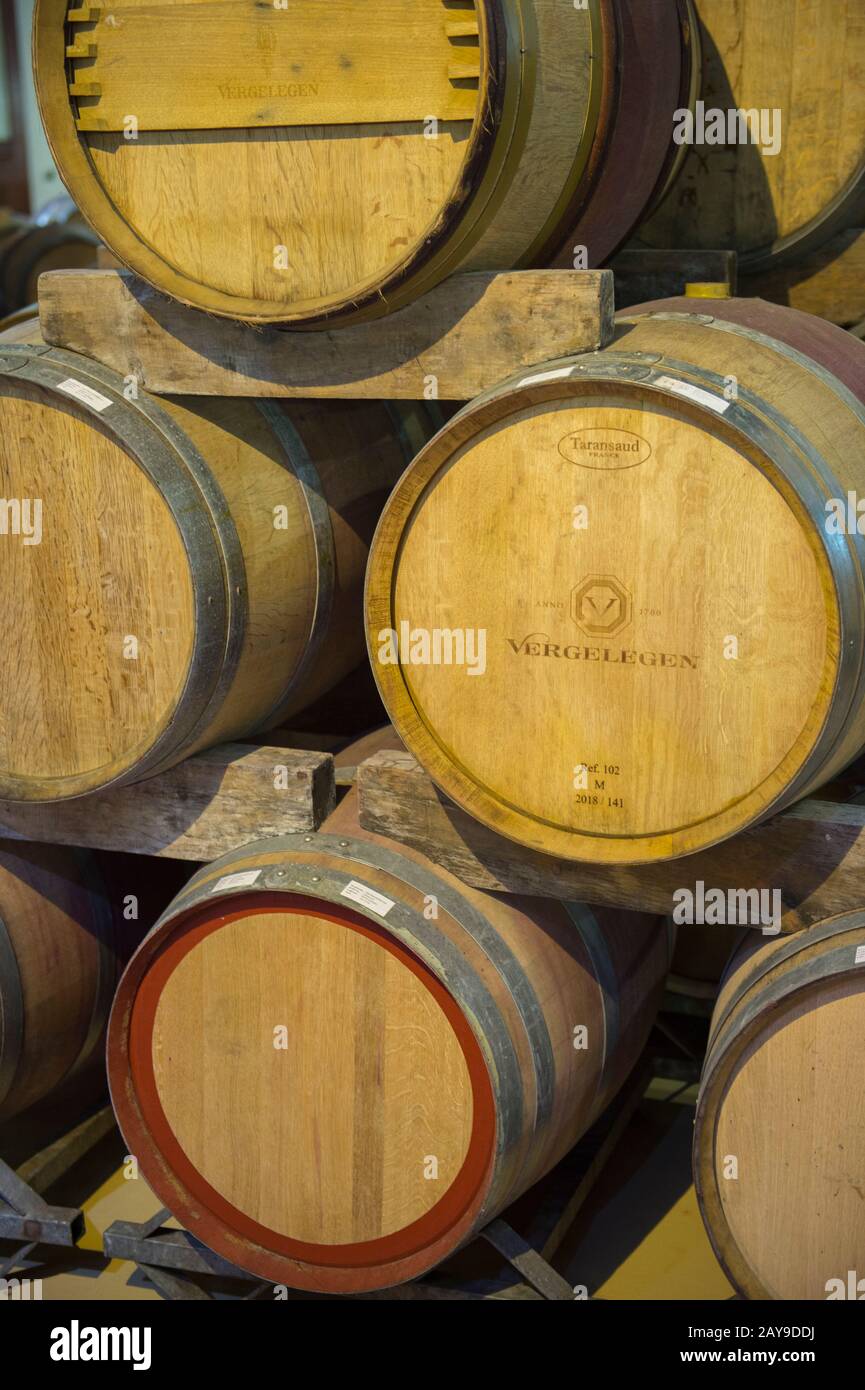 Vue sur les fûts en bois destinés à la fermentation et au vieillissement dans la cave à vin à plusieurs niveaux de la région viticole historique de Vergelegen, dans le Somerset West, dans le W Banque D'Images
