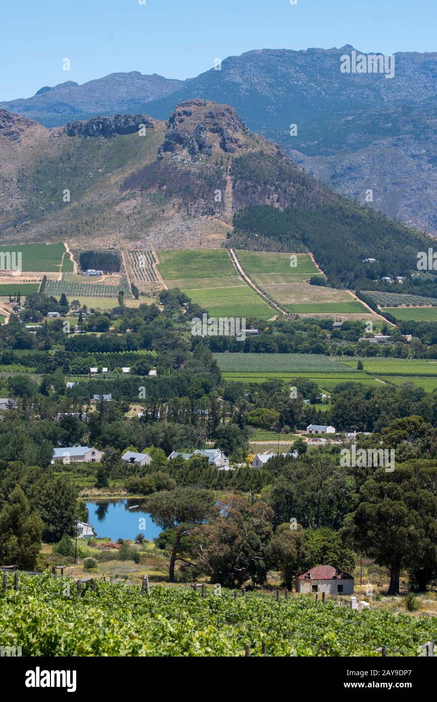 Vue sur les vignobles de la vallée de Franschhoek, dans la région de Stellenbosch, dans la province du Cap occidental d'Afrique du Sud près de Cape Town. Banque D'Images