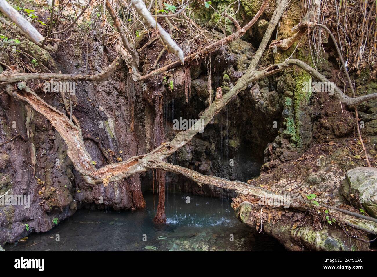 Bains de la grotte d'Aphrodite avec étang et source d'eau à Akamas Banque D'Images