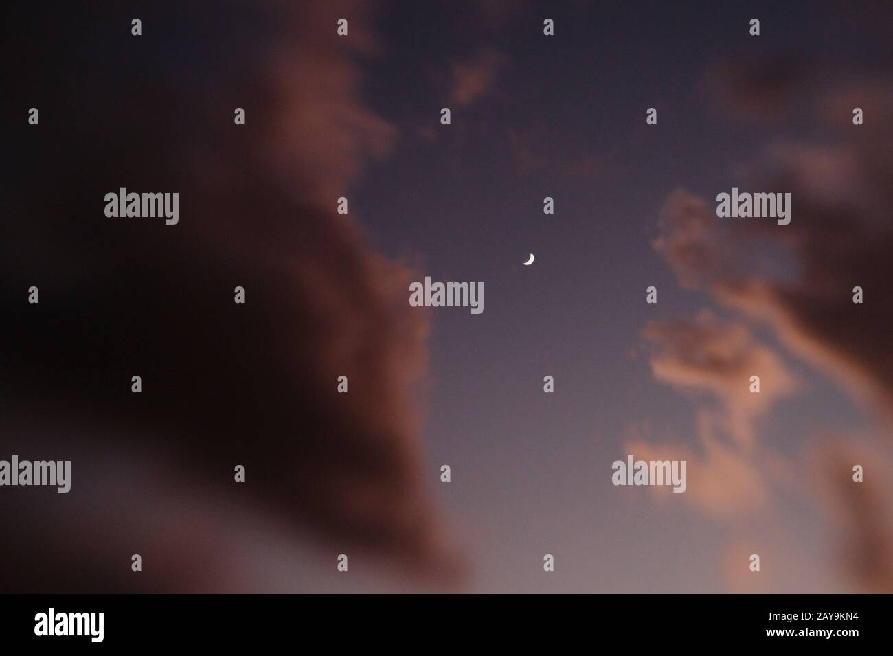 Lune de croissant à la cire de crépuscule avec nuages de livres de contes à Buda, Texas Banque D'Images