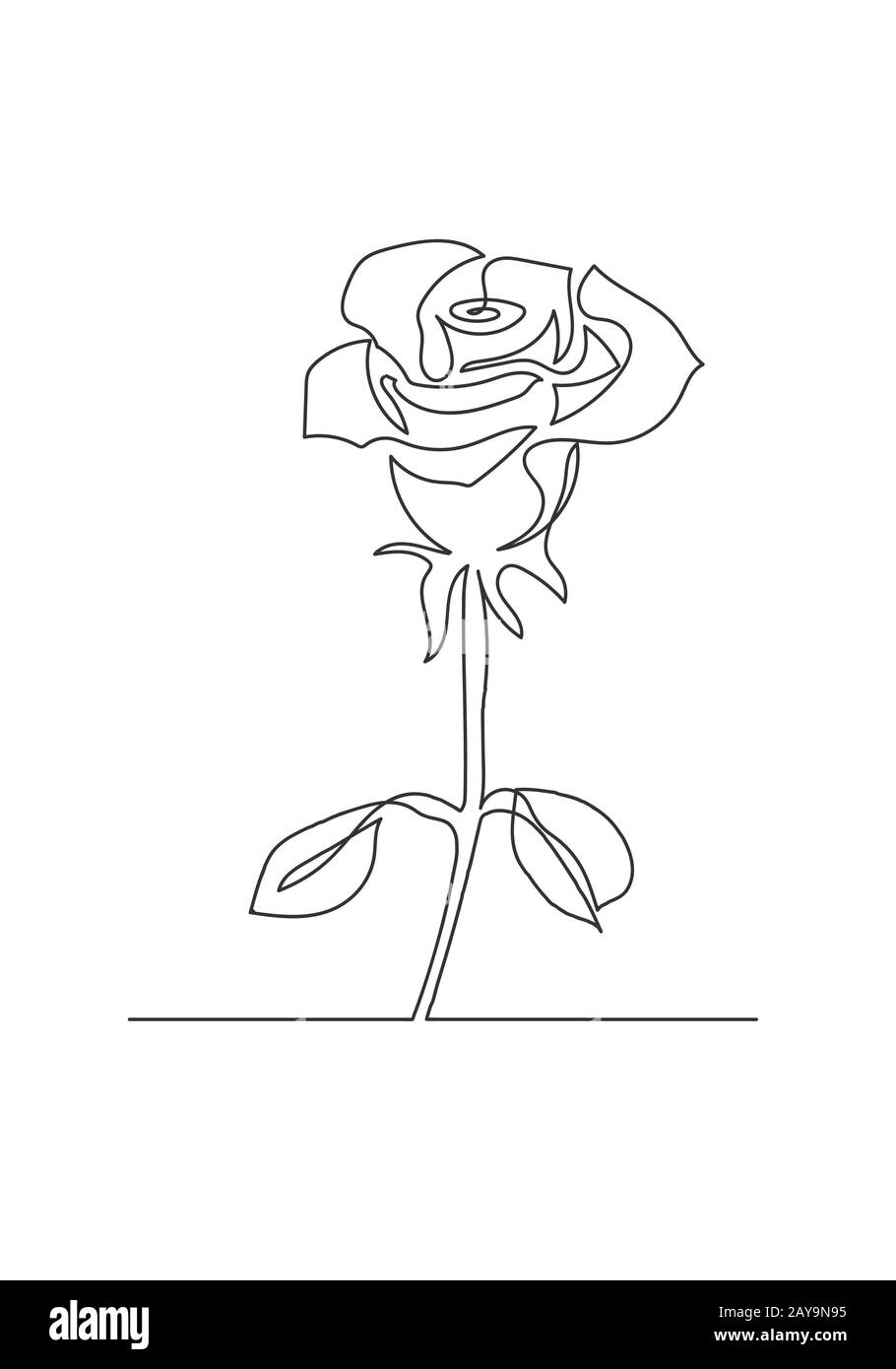 Tracé continu d'une ligne. Illustration en noir et blanc. Une ligne de style fleur de rose- art isolée sur fond blanc. Banque D'Images