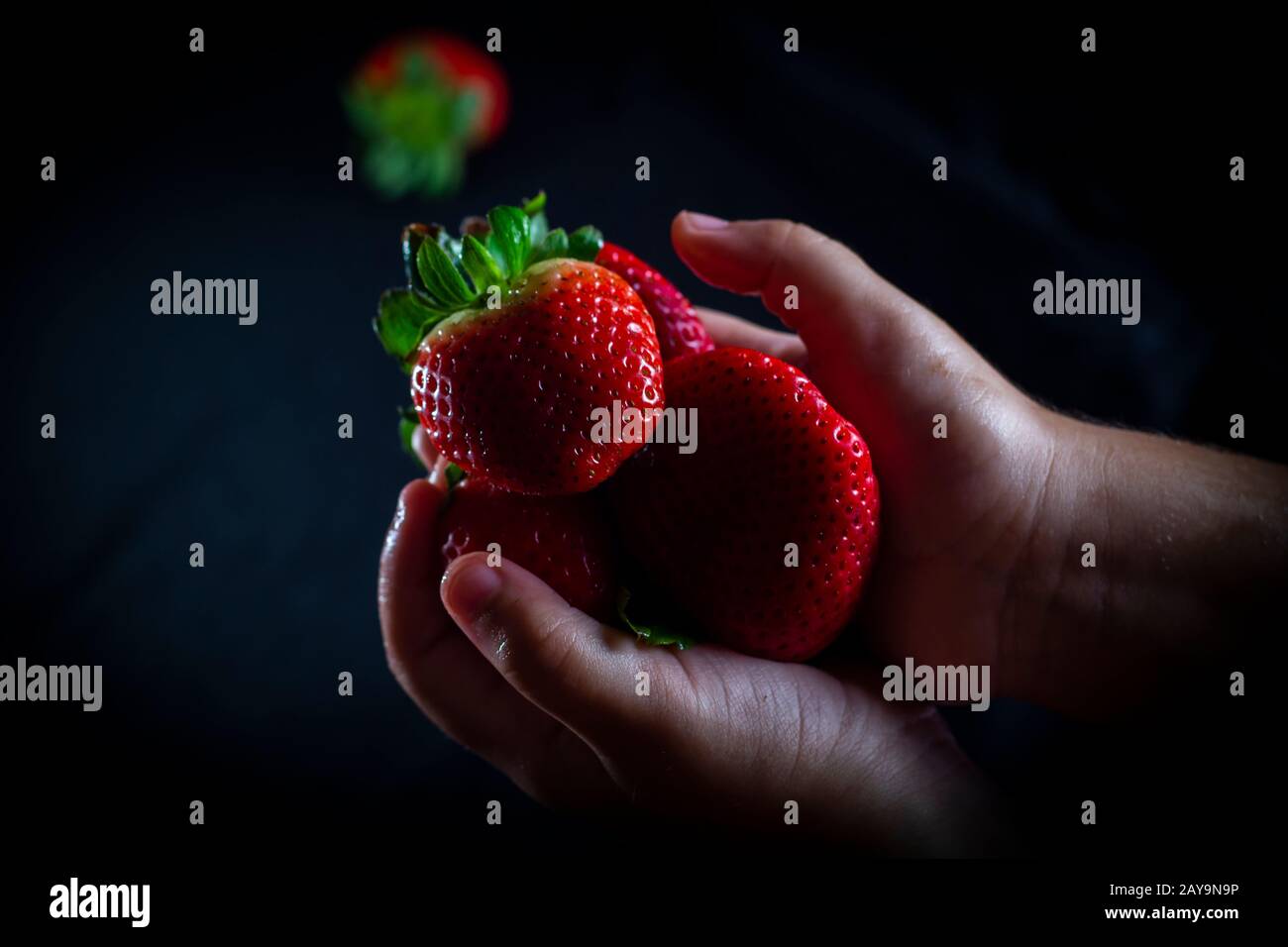 Fraises avec une belle fille mains Banque D'Images