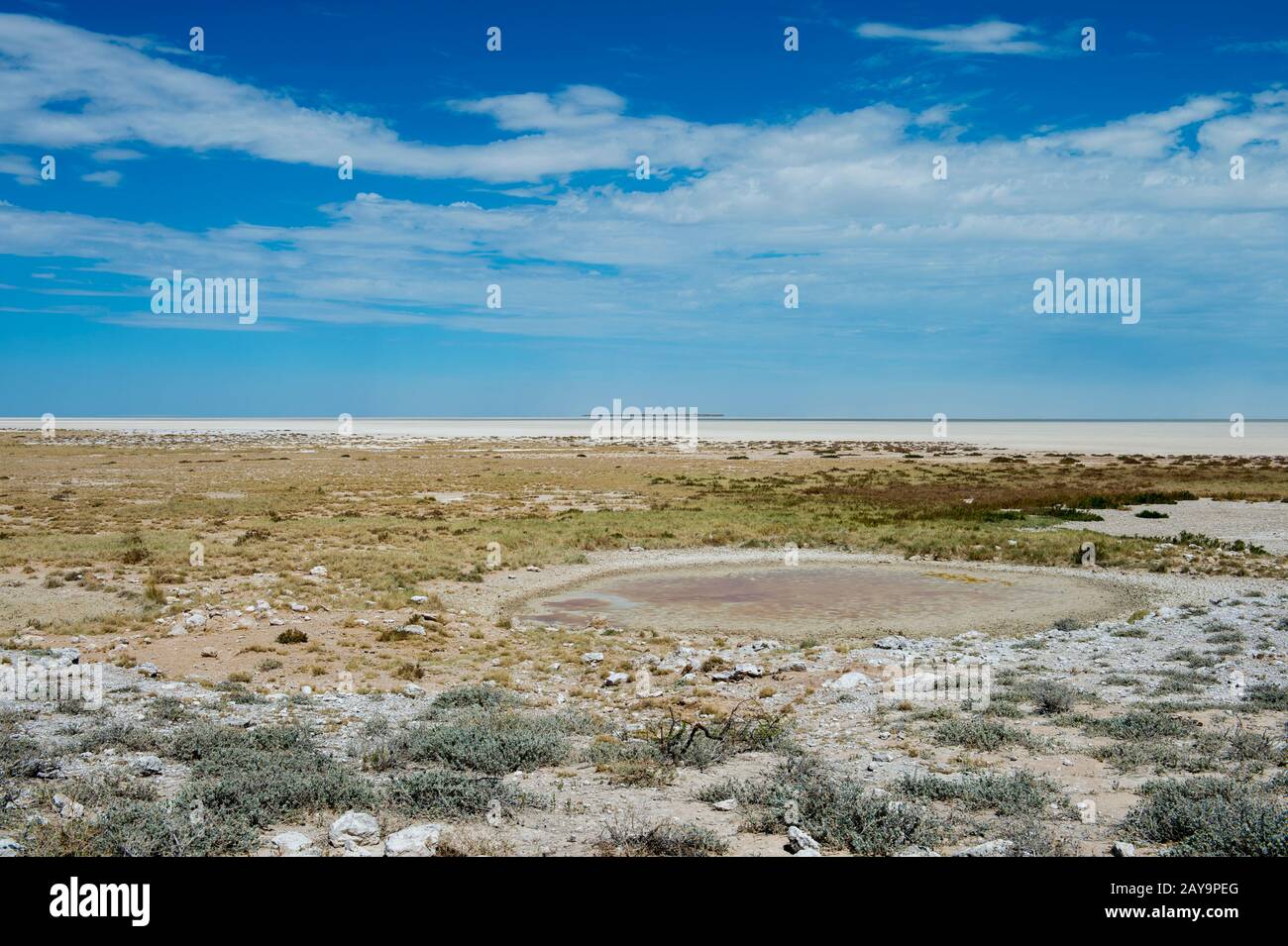 Vue sur le paysage aride avec le plateau Etosha dans le parc national d'Etosha dans le nord-ouest de la Namibie. Banque D'Images