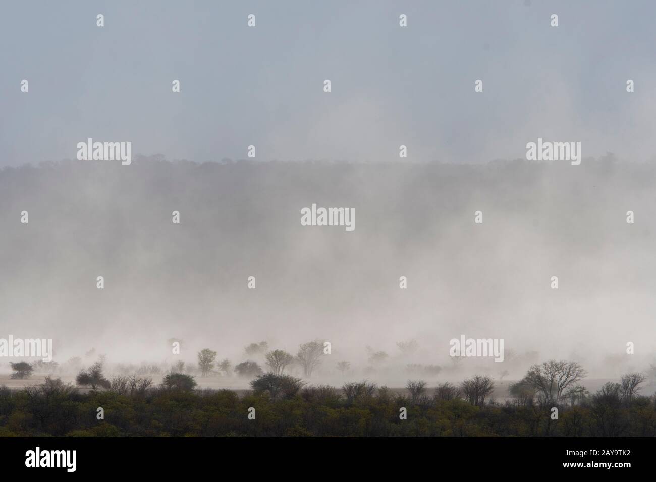 Une tempête de sable dans la Réserve de gibier d'Ongava, au sud du parc national d'Etosha, dans le nord-ouest de la Namibie. Banque D'Images