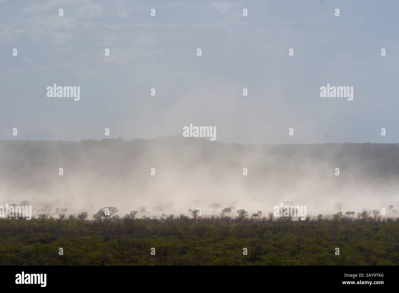 Une tempête de sable dans la Réserve de gibier d'Ongava, au sud du parc national d'Etosha, dans le nord-ouest de la Namibie. Banque D'Images