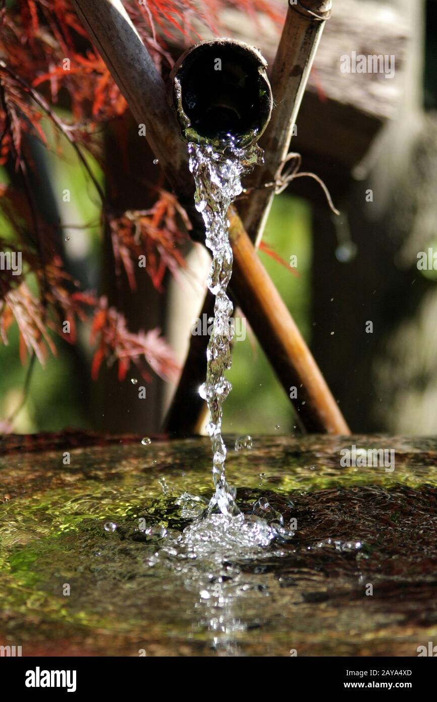Jardin zen japonais avec fontaine d'eau Banque D'Images