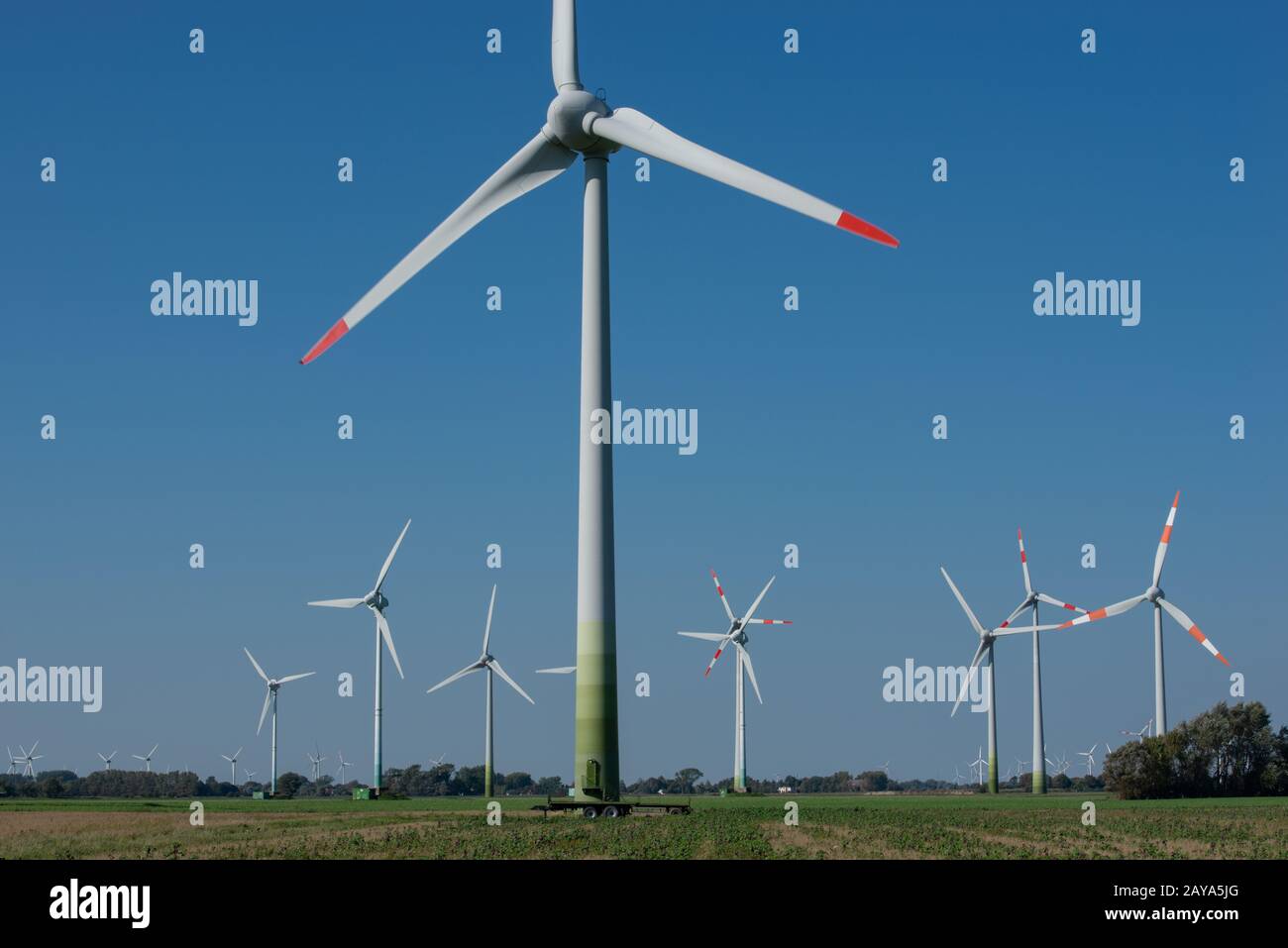 Éoliennes sur le rivage de la côte de la mer du Nord du Schleswig Holstein Banque D'Images