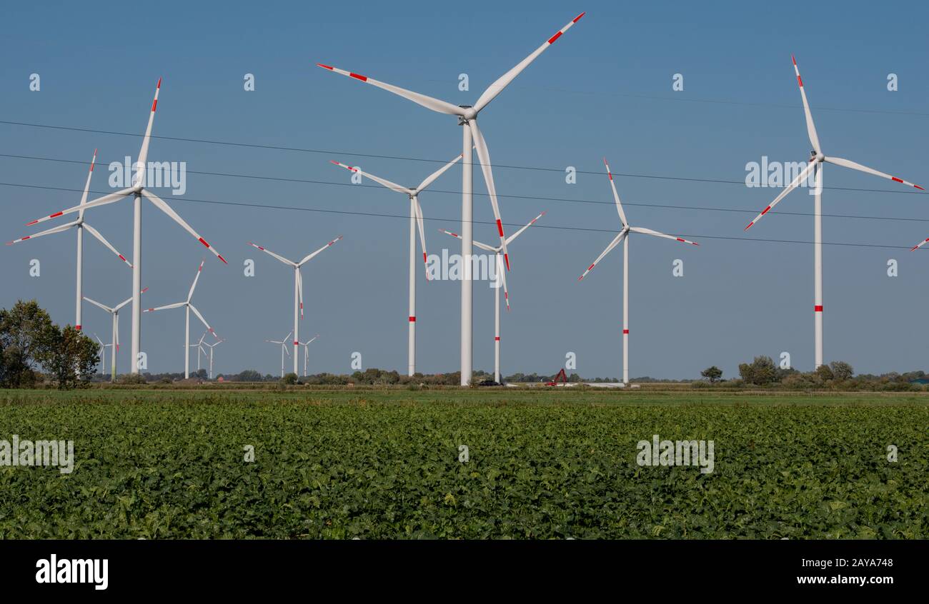 Éoliennes sur le rivage de la côte de la mer du Nord du Schleswig Holstein Banque D'Images