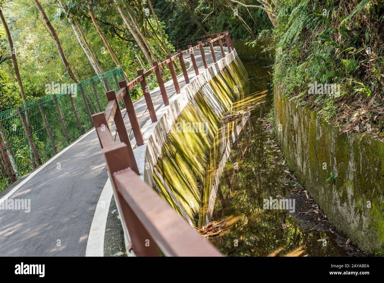 petite route par des arbres avec personne Banque D'Images